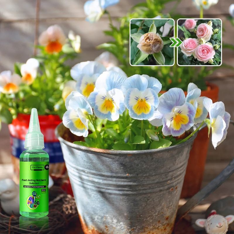 1+1 Free | Plant Nutrient Solution